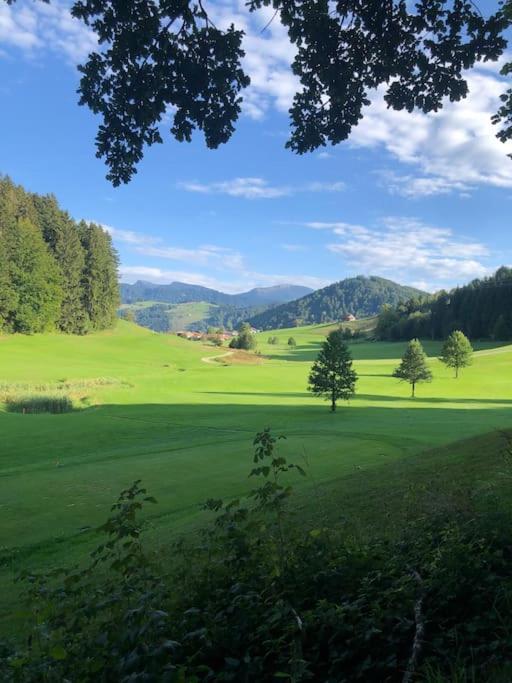 Lovely Three Bedroom Rental Unit Oberstaufen Kültér fotó