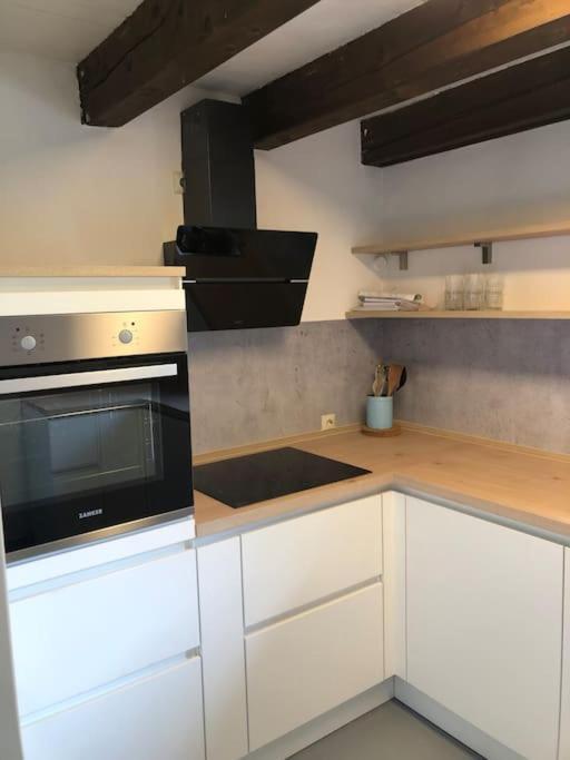 Lovely Three Bedroom Rental Unit Oberstaufen Kültér fotó